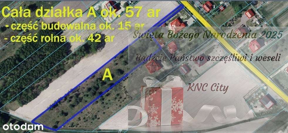 Duża działka 0,6 ha leśno-budowlana Wola Lisowska - Pełny obrazek: 1/16