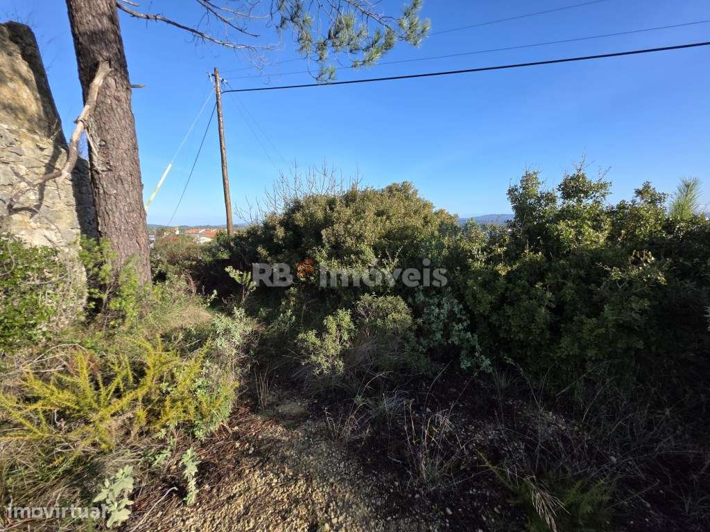 Moinho para reconstruir com terreno - Casal da Estrada, Tomar - Grande imagem: 4/5