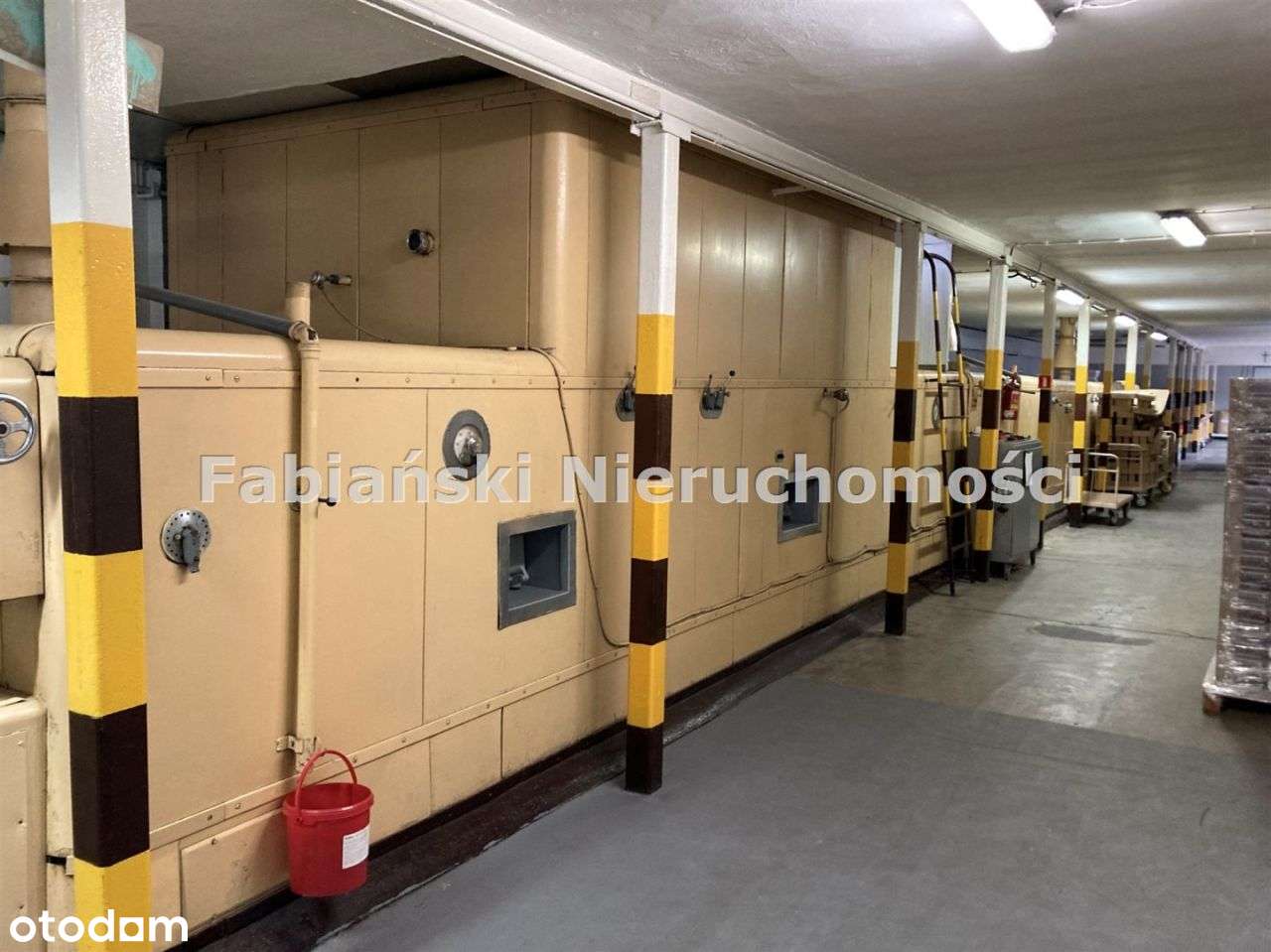 Hala produkcyjna - Pełny obrazek: 5/20