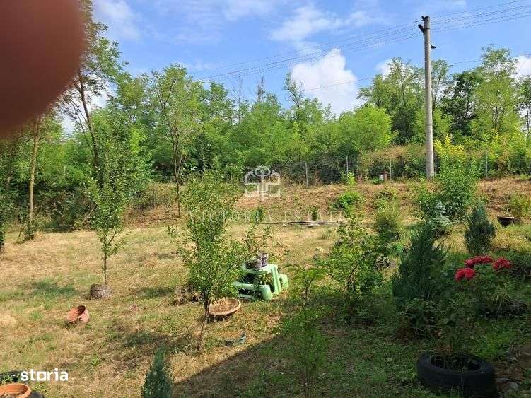 Casa si teren 2000 mp-9