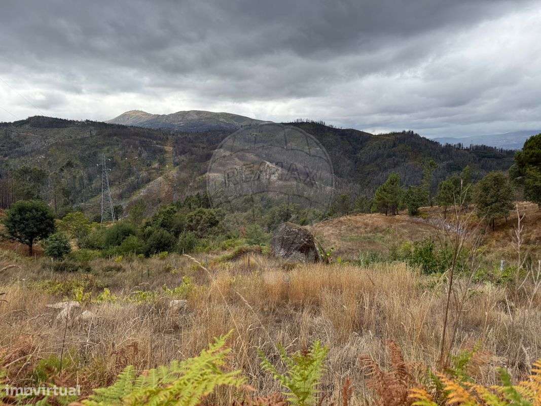 Quinta  para venda-17