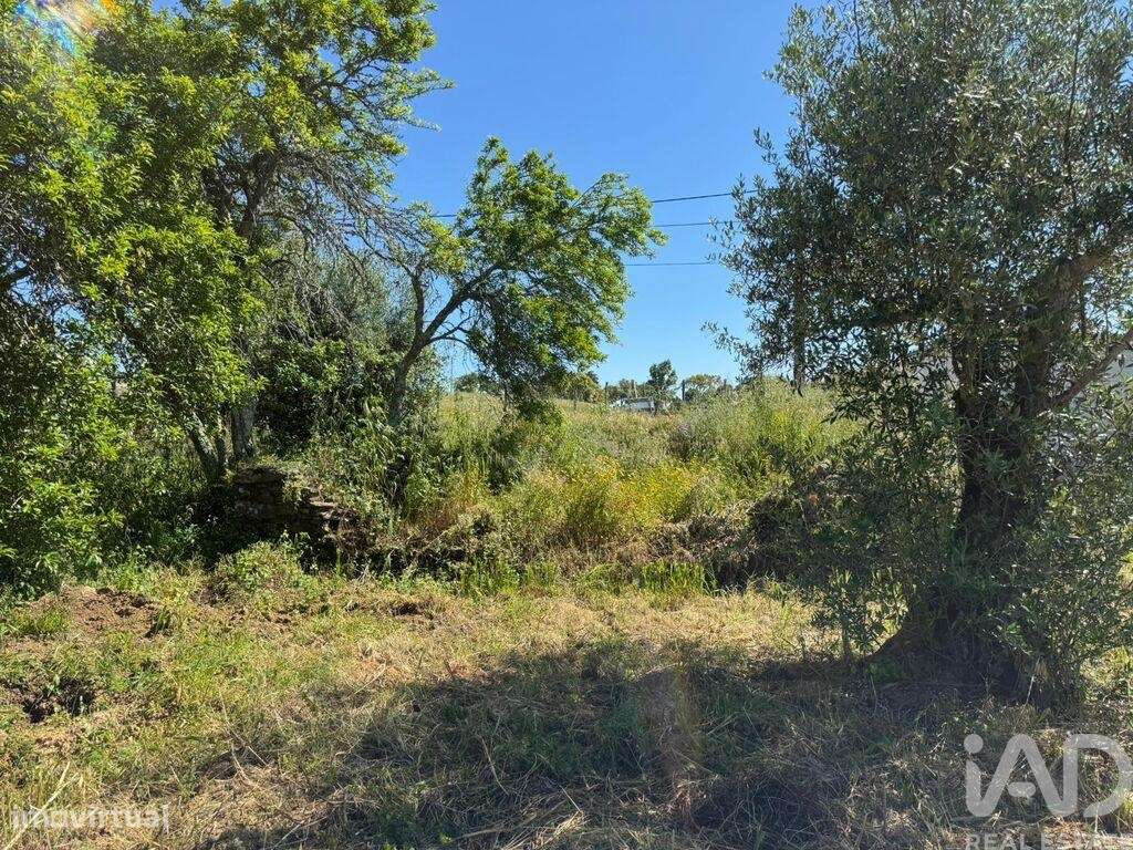 Terreno em Casais e Alviobeira de 2160,00 m2 - Grande imagem: 1/6