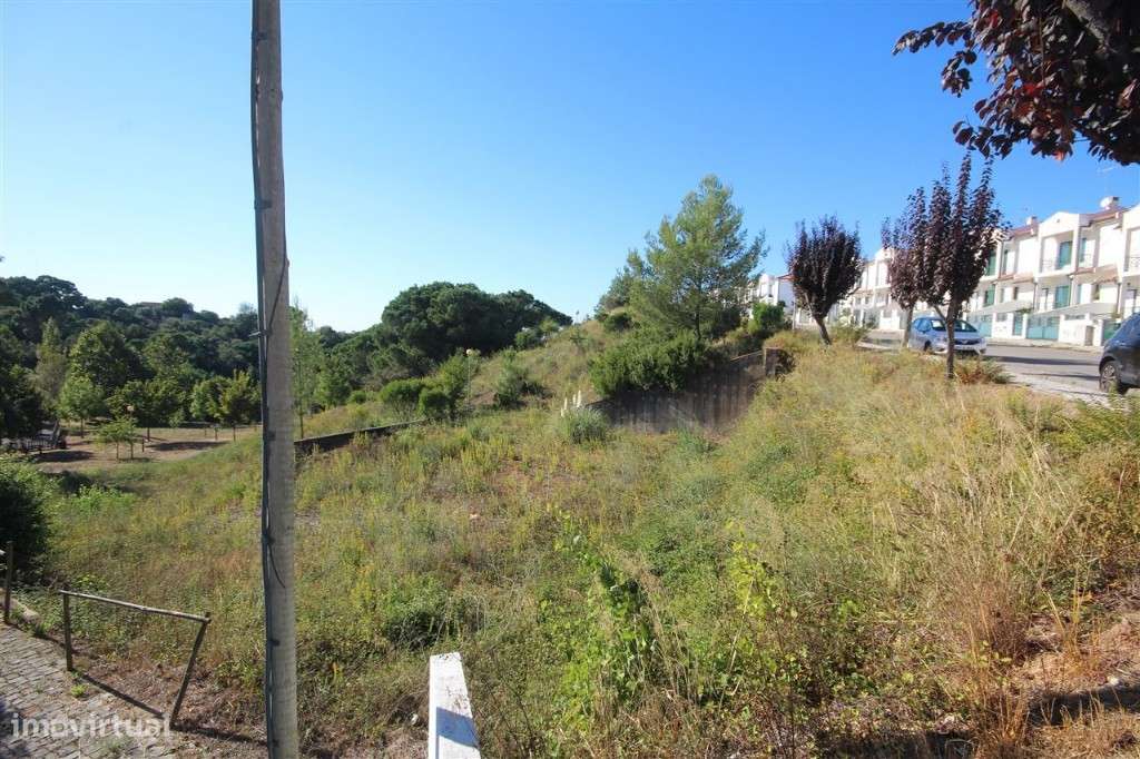 Lote, Coimbra, Santa Clara - Grande imagem: 3/14