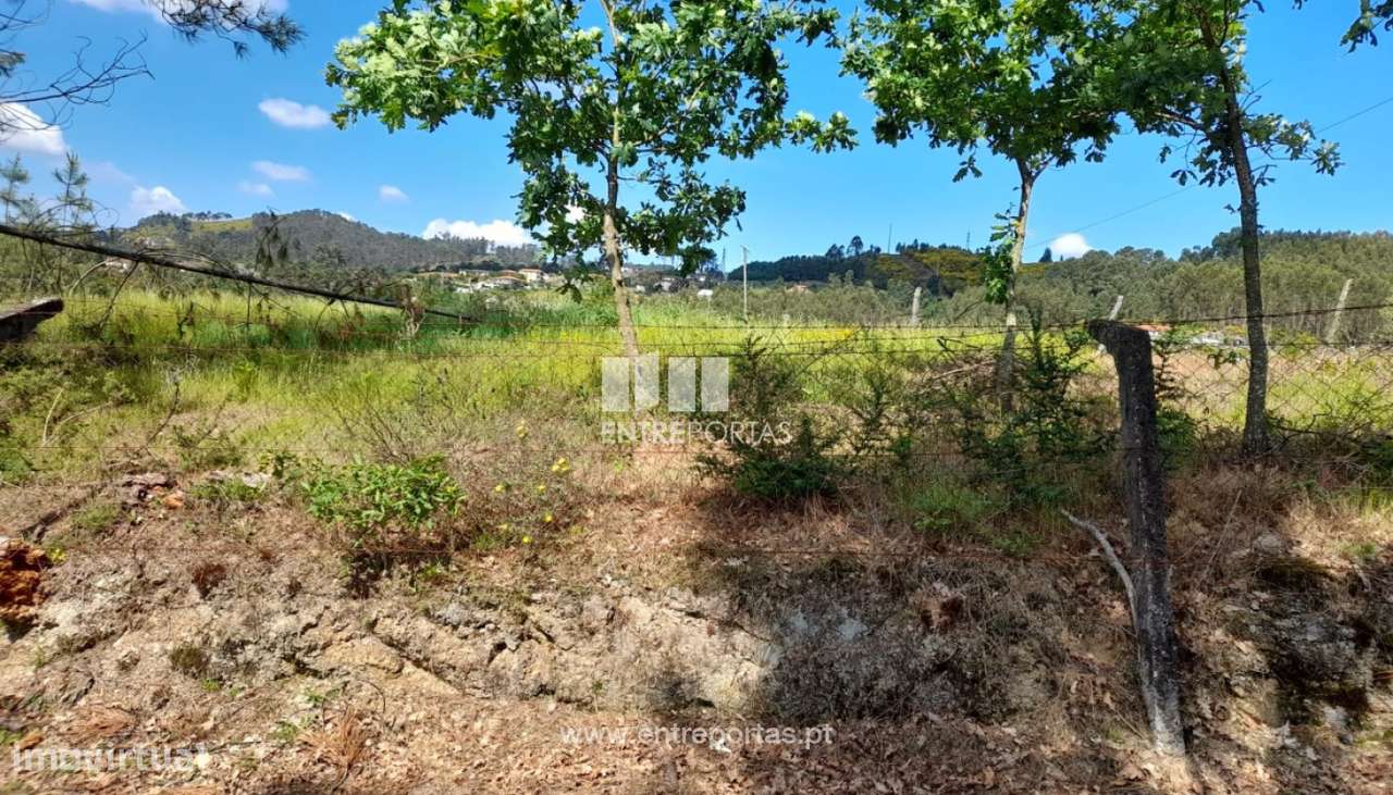 Venda Terreno, Fregim, Amarante - Grande imagem: 5/28