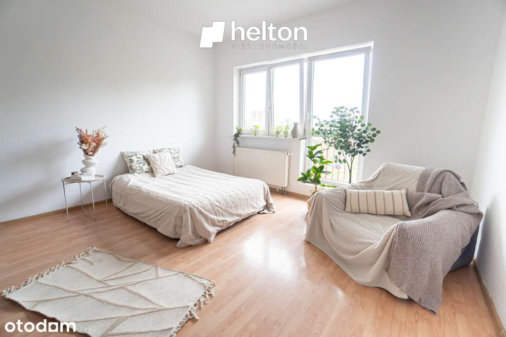 Okazja cenowa | Serenada | Pętla autobusowa-4