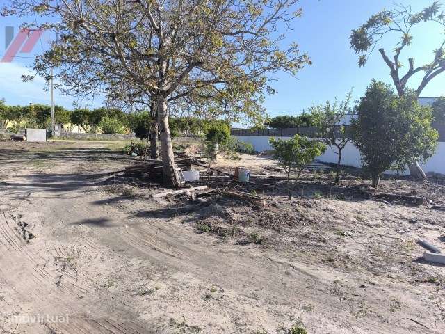 Moradia T4 Renovada com Jardim  Sanguinheira Cantanhede-5