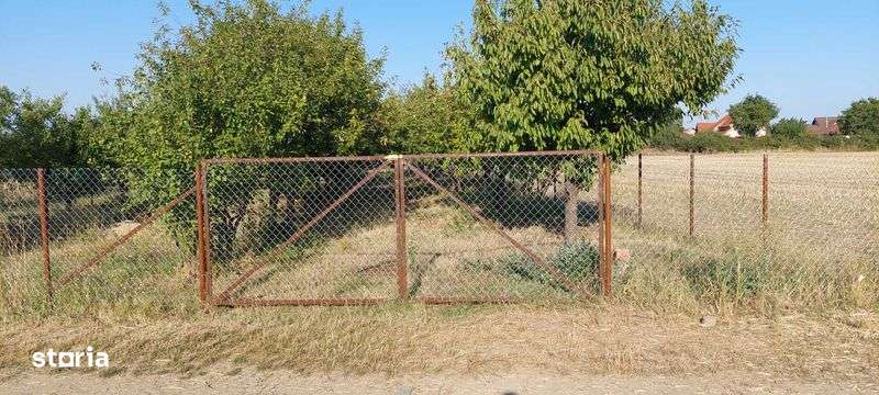 Teren intravilan in Sag jud.Timis - Imagine principală: 5/5