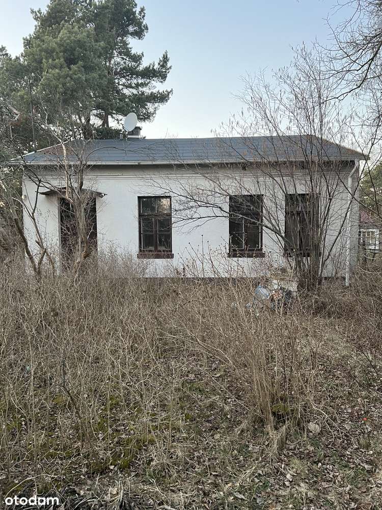 Przestronny dom z ogrodem blisko lasu i jeziora - Pełny obrazek: 5/13