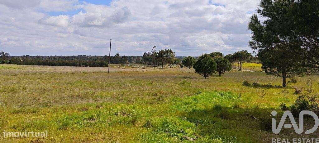 Terreno para construção em Branca de 39000,00 m2 - Grande imagem: 4/14