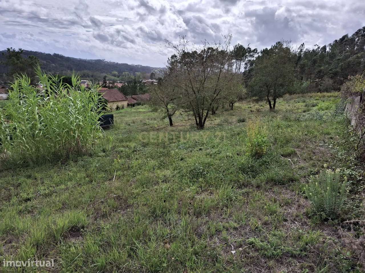 Terreno com projecto de habitação de moradia terrea - Grande imagem: 3/13
