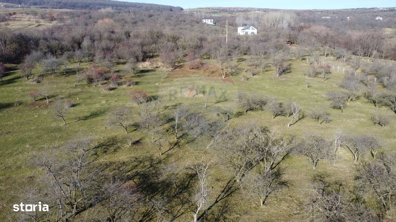 Teren 20.146 mp Dâmbu Rotund (Lomb).Extravilan.Potențial rezidențial-9