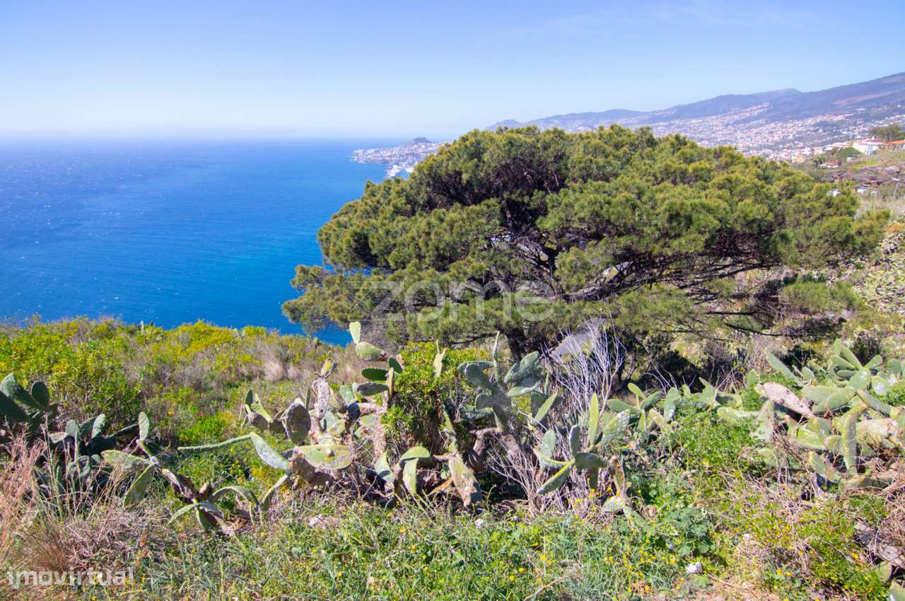 Terreno - Grande imagem: 3/4