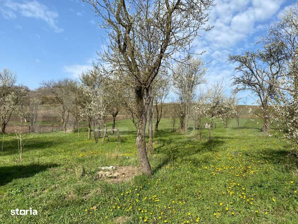 Casa  cu 10000mp de teren in Buza, la 50 km de Cluj-Napoca - Imagine principală: 5/12