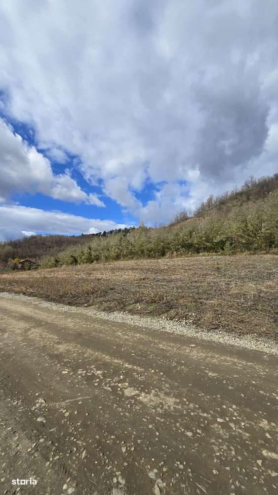 Teren intravilan în Mediaș, lângă Heleșteu-10