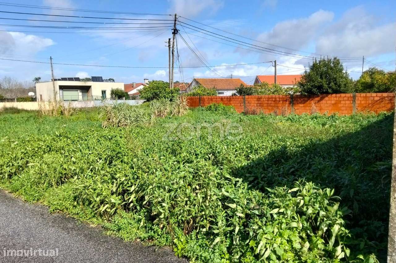 Terreno para construção de Moradia em Vagos - Grande imagem: 3/23