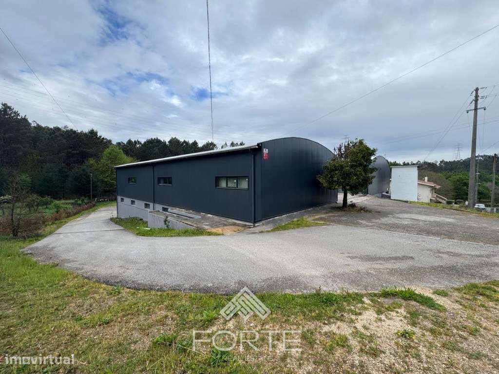 Armazém com 4 naves em Cesar - Grande imagem: 4/26