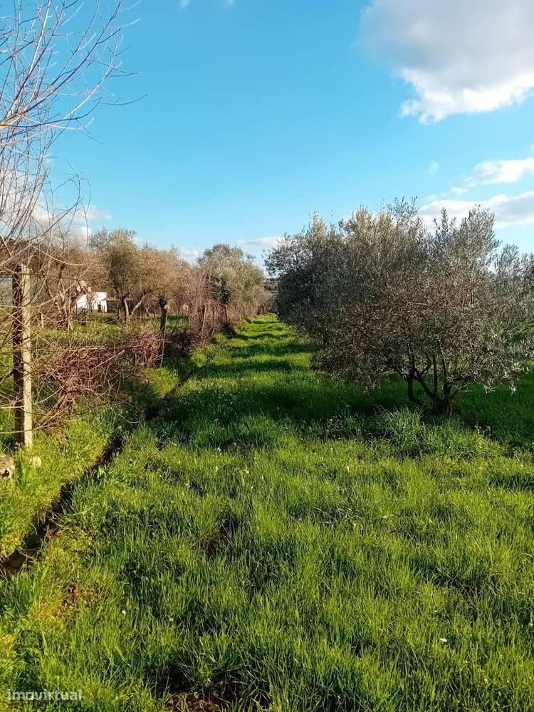 Terreno de 1040m2 junto à Praia Fluvial - Grande imagem: 2/13