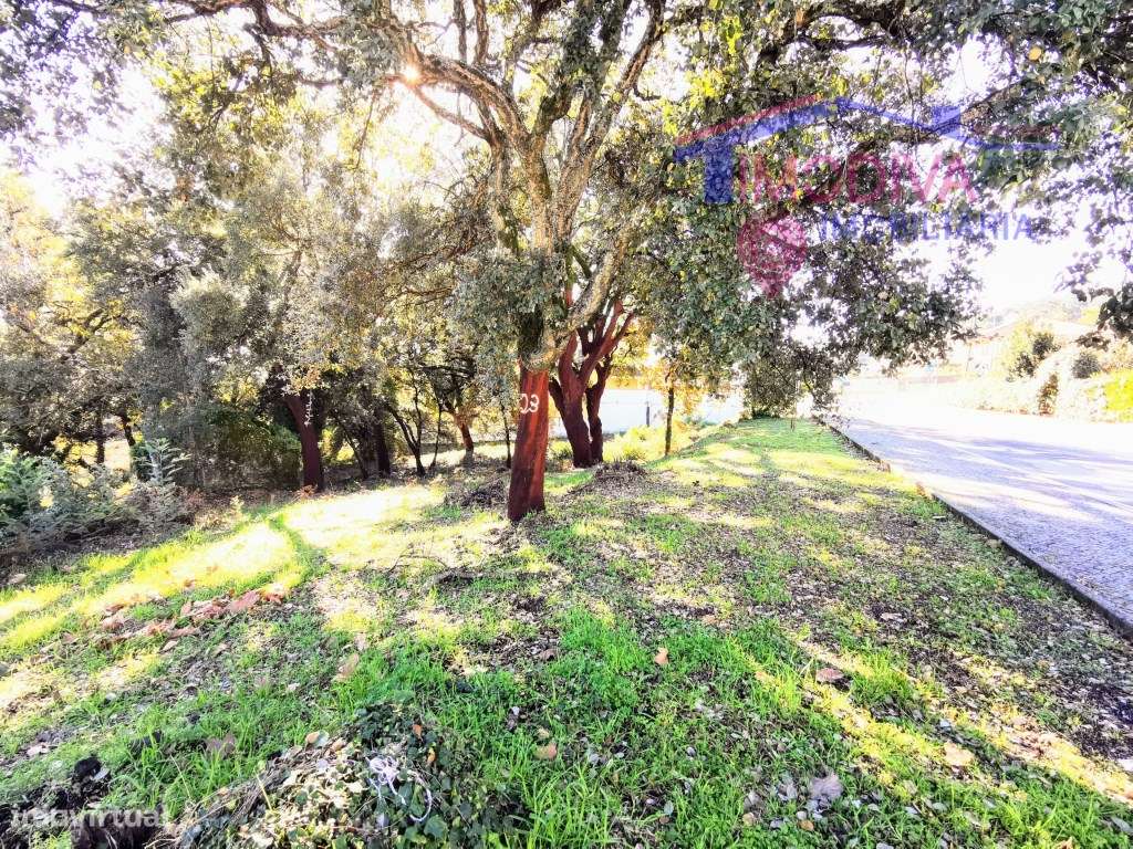 Terreno com 19408m2, com possibilidade de construção em Figueiró do... - Grande imagem: 2/17