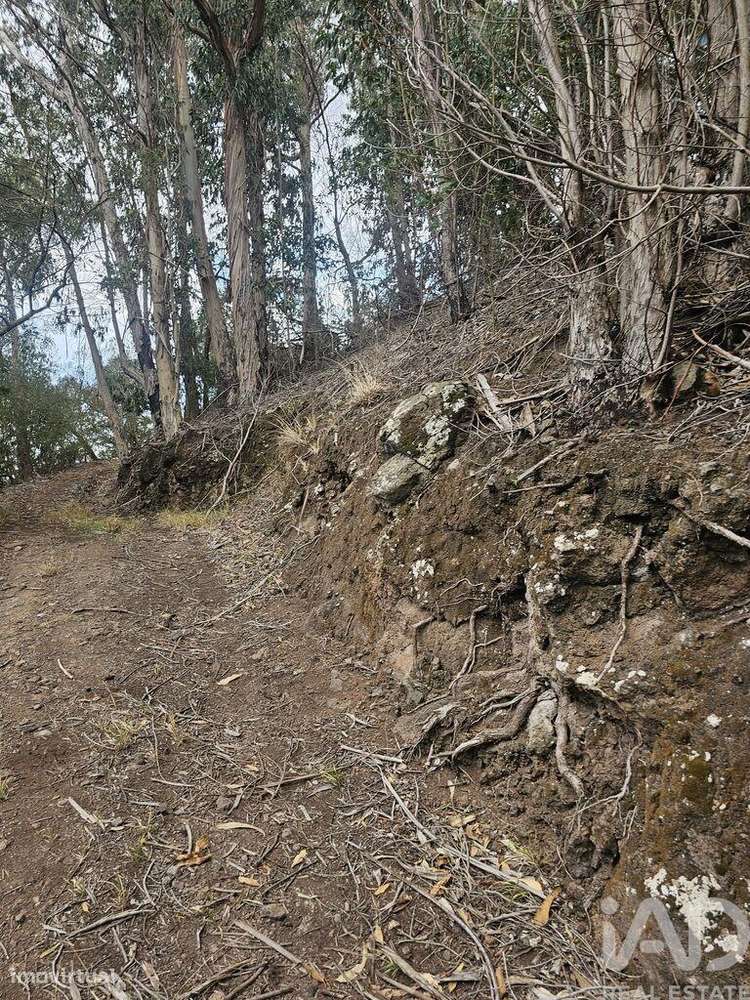 Terreno em Água de Pena de 10100,00 m2 - Grande imagem: 5/5