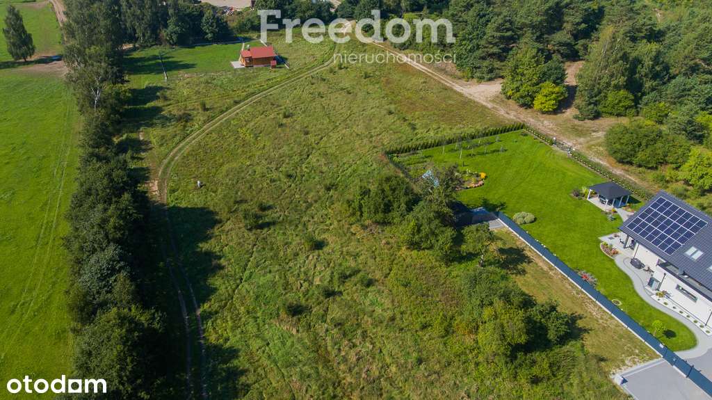 Klimatyczne działki w Jantarze nieopodal lasu - Pełny obrazek: 5/8