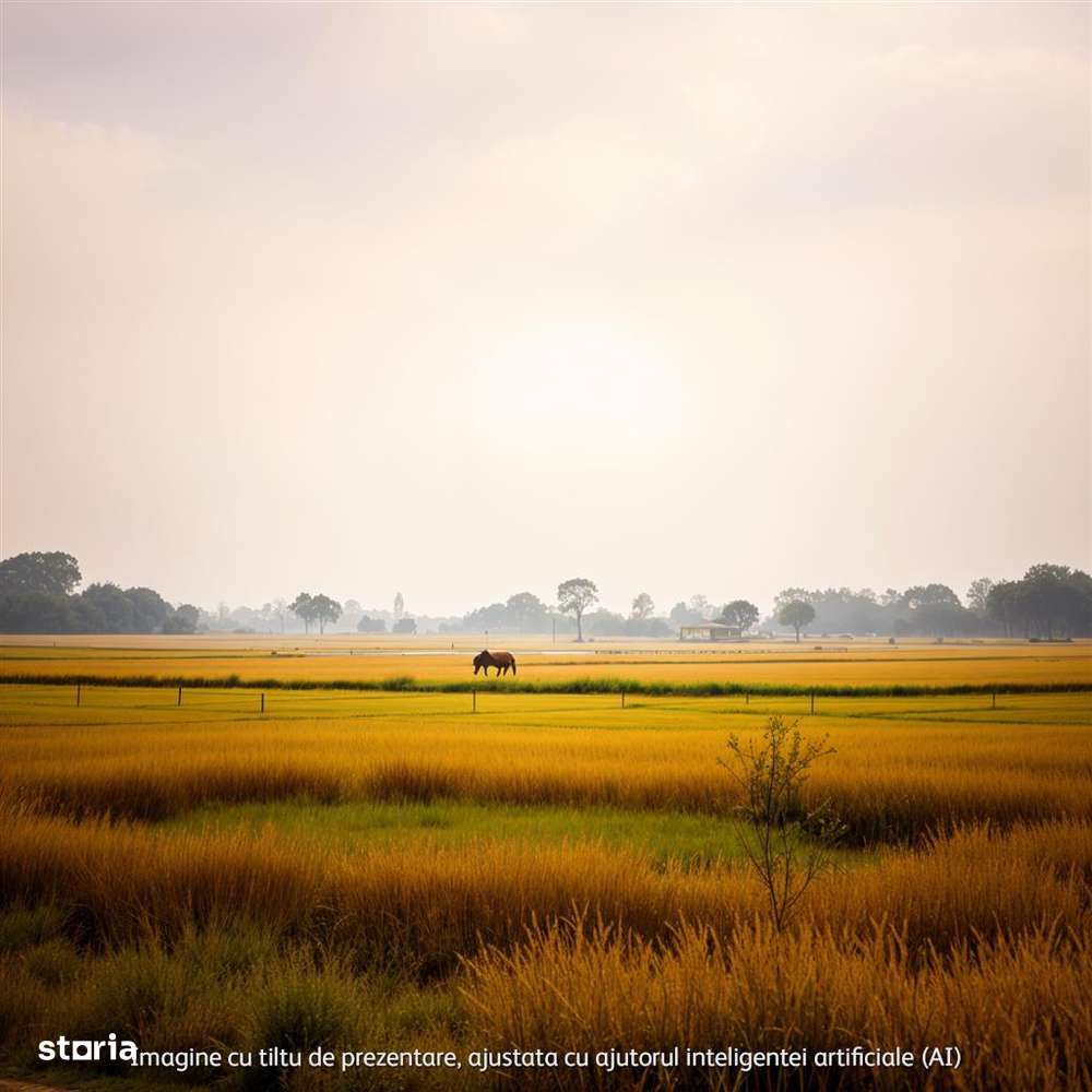 Teren industrial 4800 mp  DN1B – Zona showroom-uri auto  Deschidere 19 - Imagine principală: 3/14