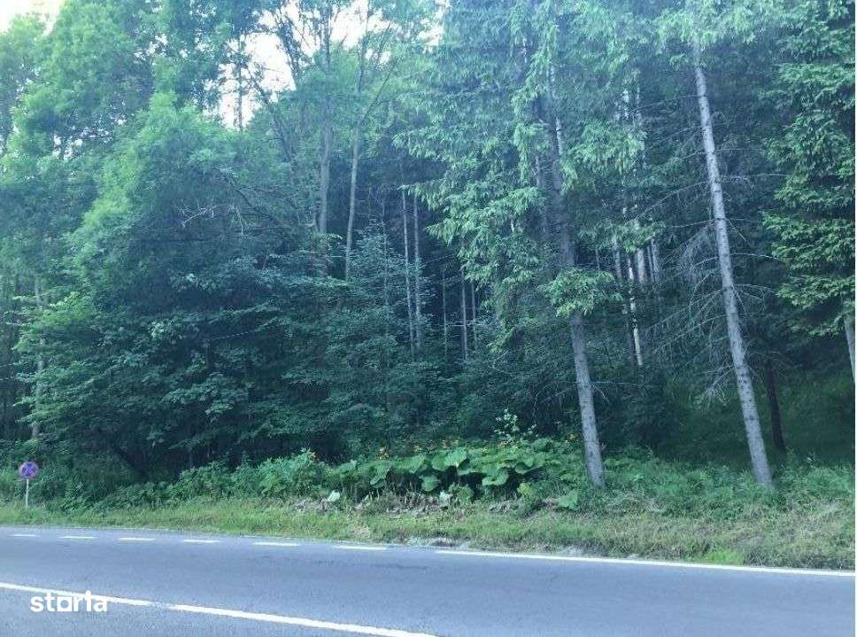 Teren intravilan in Busteni - 3000869 OFERTA - Imagine principală: 3/10