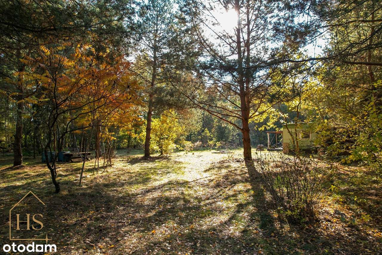 Piękna działka pod zabudowę/Zalesie gm. Żabia Wola/35 min od Wa-wy-6