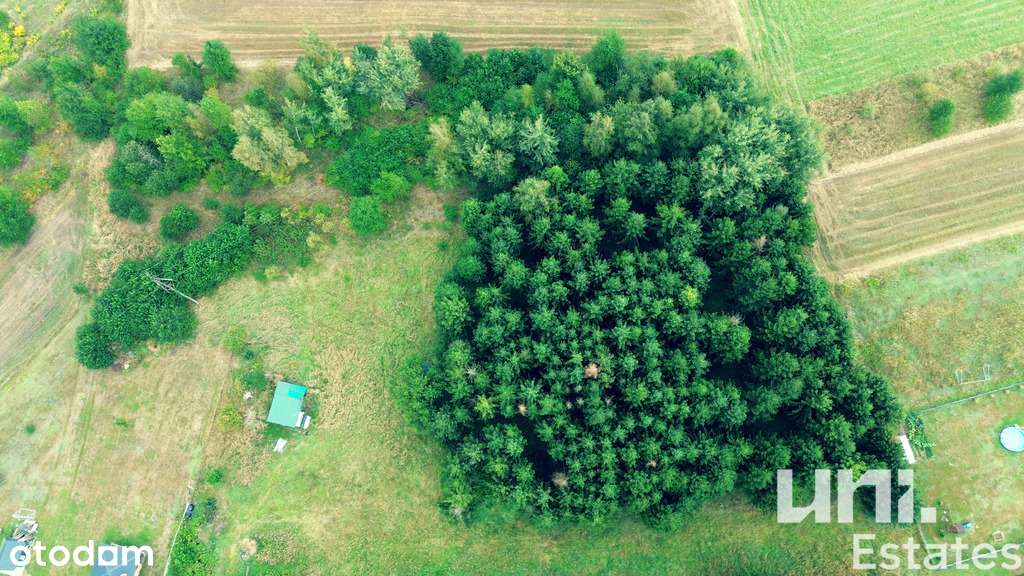 Działka budowlana  • LAS • Zielono • Cicha okolica - Pełny obrazek: 5/5