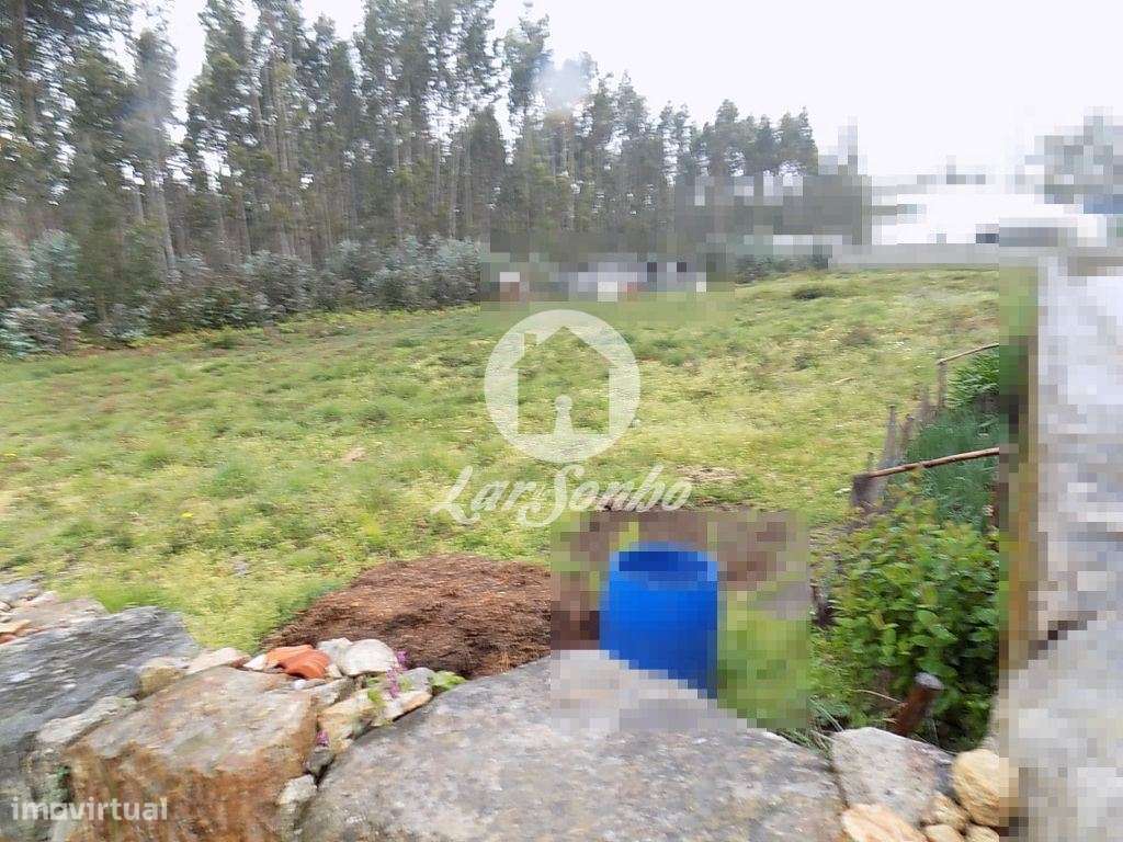 Terreno de 40.762 m2 com 3500 m2 de construção em Bagunte - Grande imagem: 4/4