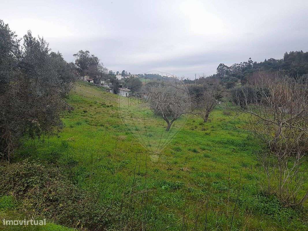 Terreno  para venda - Grande imagem: 4/20