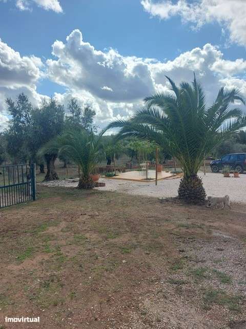 Monte Alentejano - com três casas prontas a habitar  (Sousel) - Grande imagem: 4/41