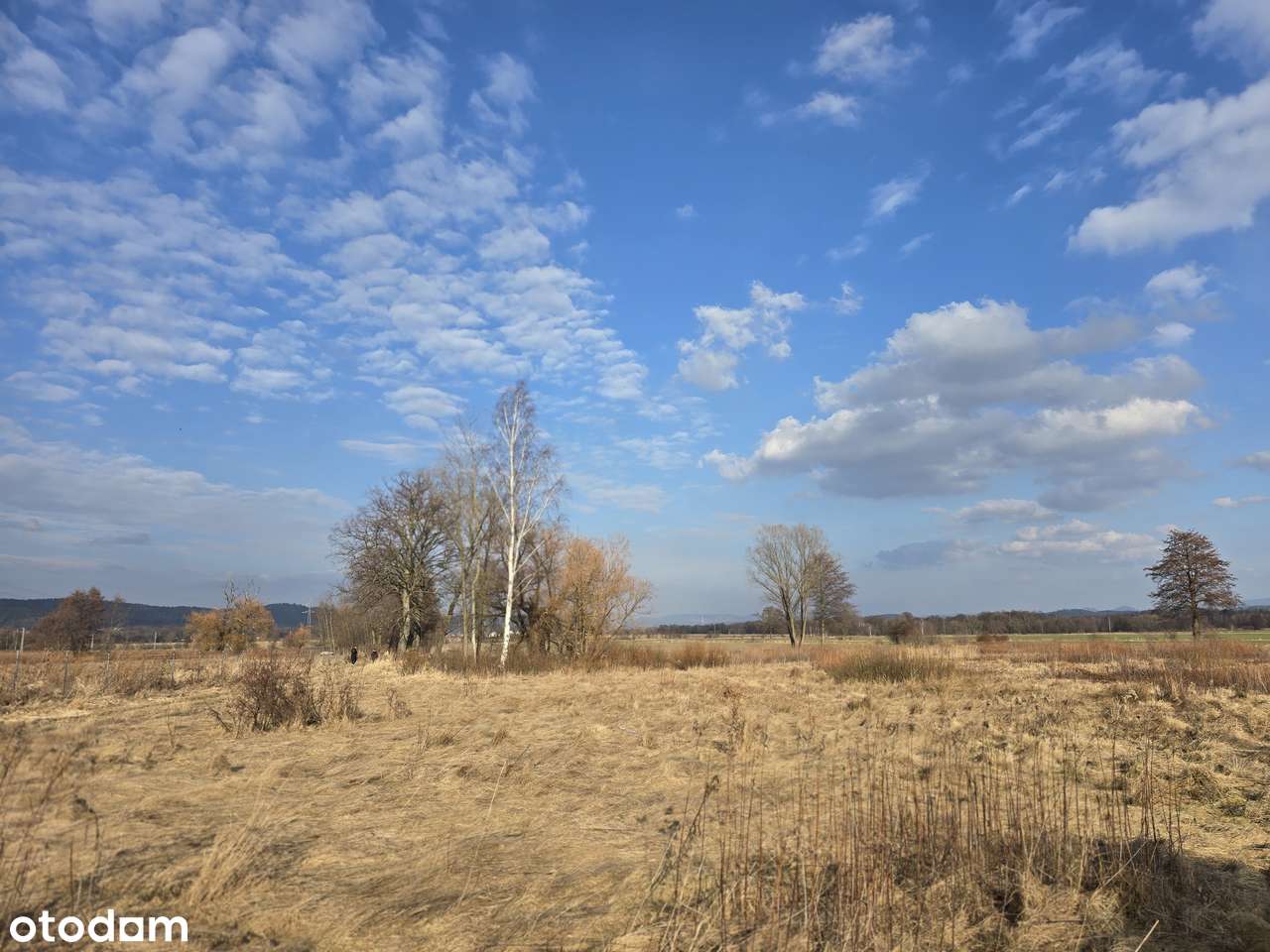 Działka budowlana 1503 m² z widokiem na Pasmo Karkonoszy-4