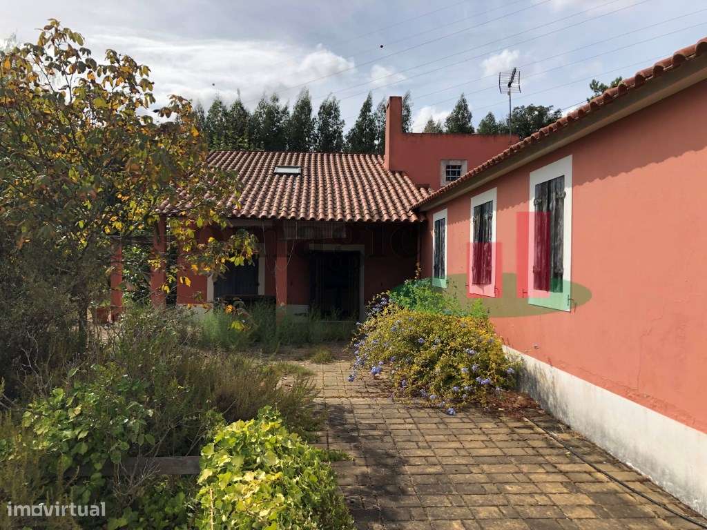 Quinta com 2 Casas de Campo, Olival e Vinha em Azambuja - Grande imagem: 3/60