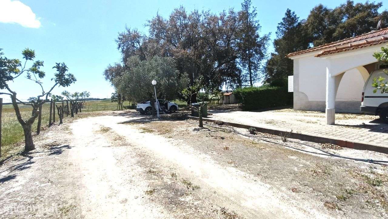 Quinta Pegões Velhos, junto á adega, com moradia e armazém lote 3,8 ha-44