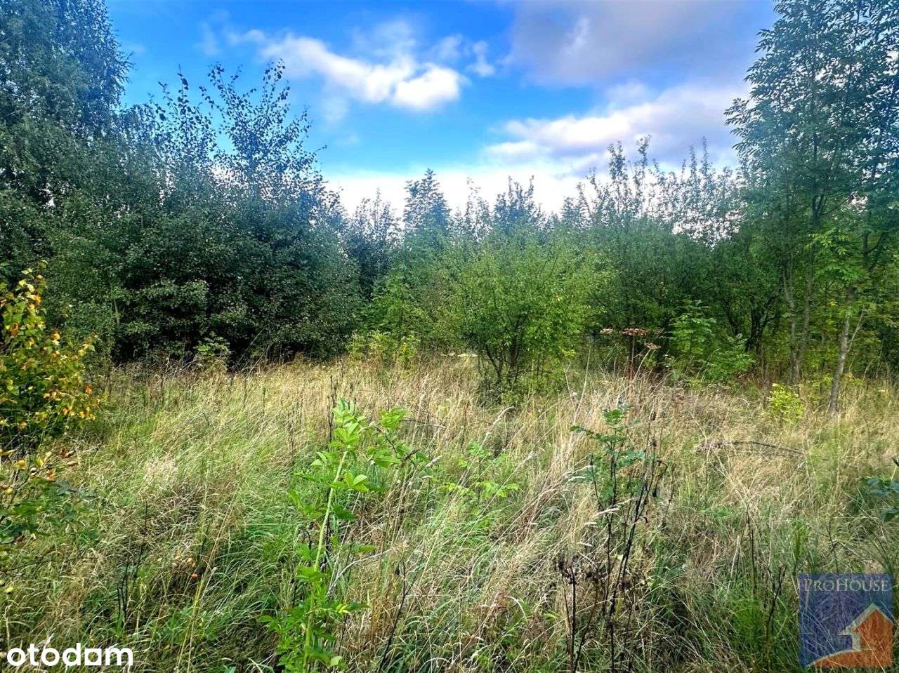 Działka budowlana na terenie gminy Limanowa! - Pełny obrazek: 5/8