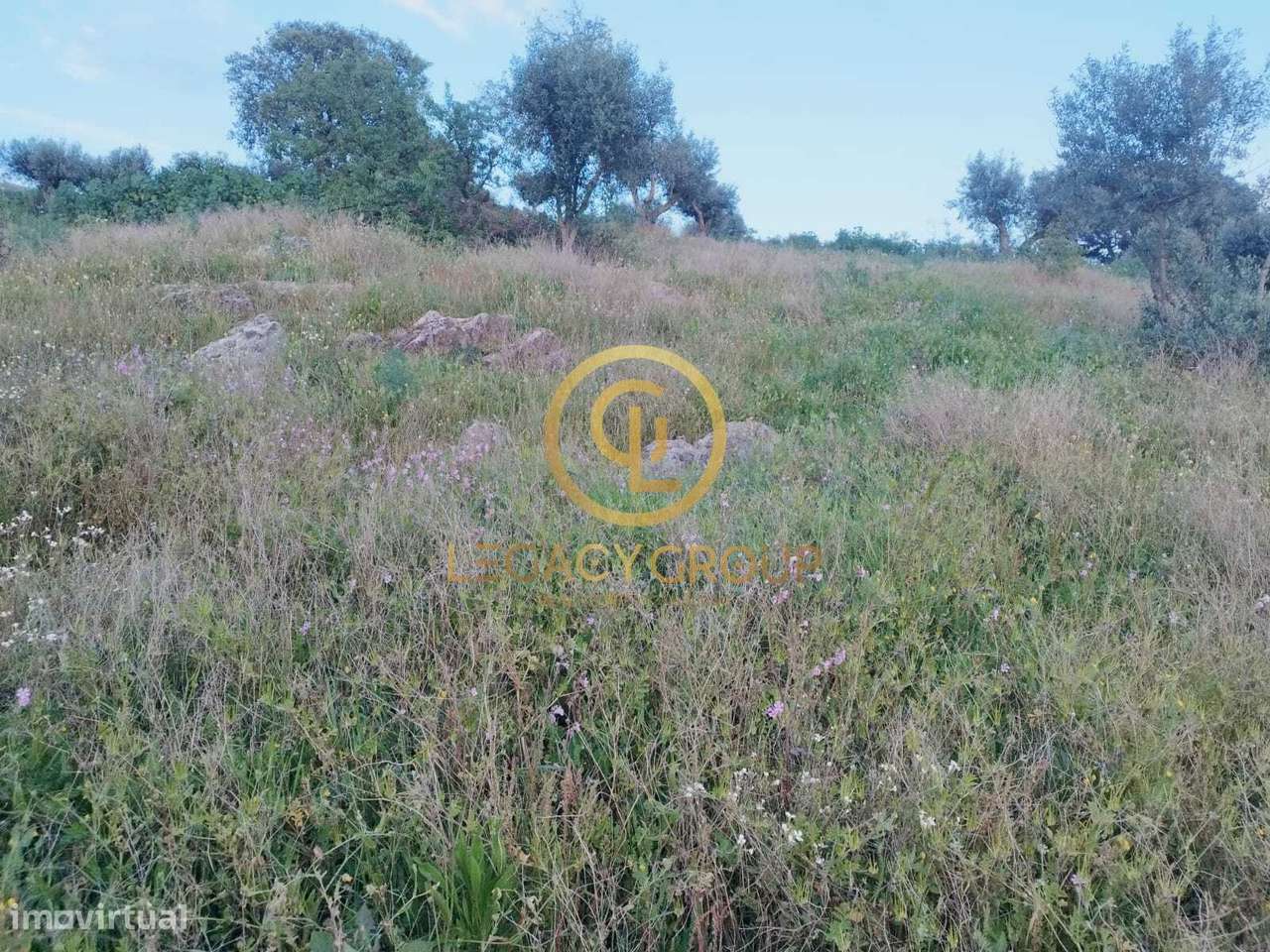 TERRENO DE 46.626m2 EM REDONDO - Grande imagem: 2/50