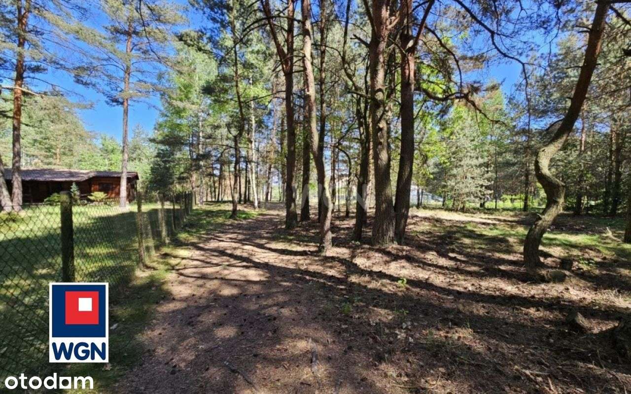 Działka budowlana w lesie przy Zalewie Porajskim - Pełny obrazek: 5/20