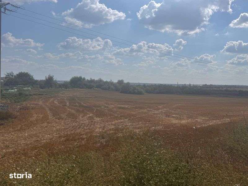 Teren intravilan Navodari, 9500mp, deschidere 41 la drum asf.DJ226 - Imagine principală: 5/6