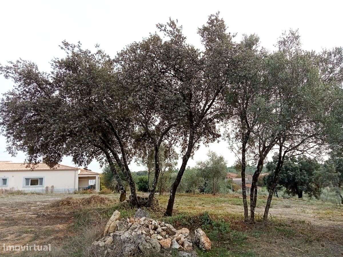 Terreno, 10 200 m², Achete, Azoia de Baixo e Póvoa de Santarém - Grande imagem: 4/7