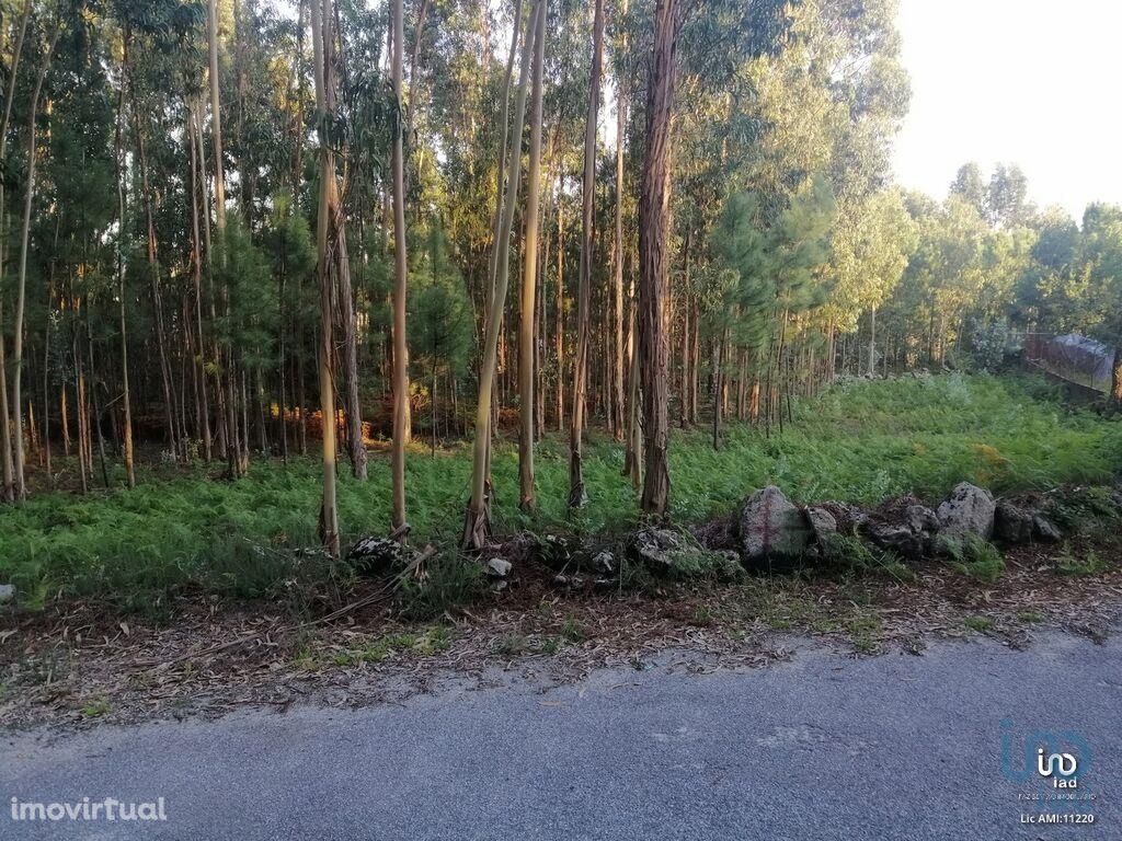 Terreno para construção em Viana do Castelo