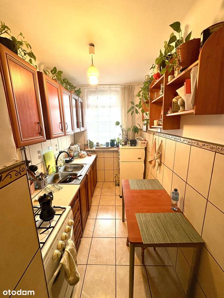 2 pokoje 41m2, balkon, park Sielecki-2