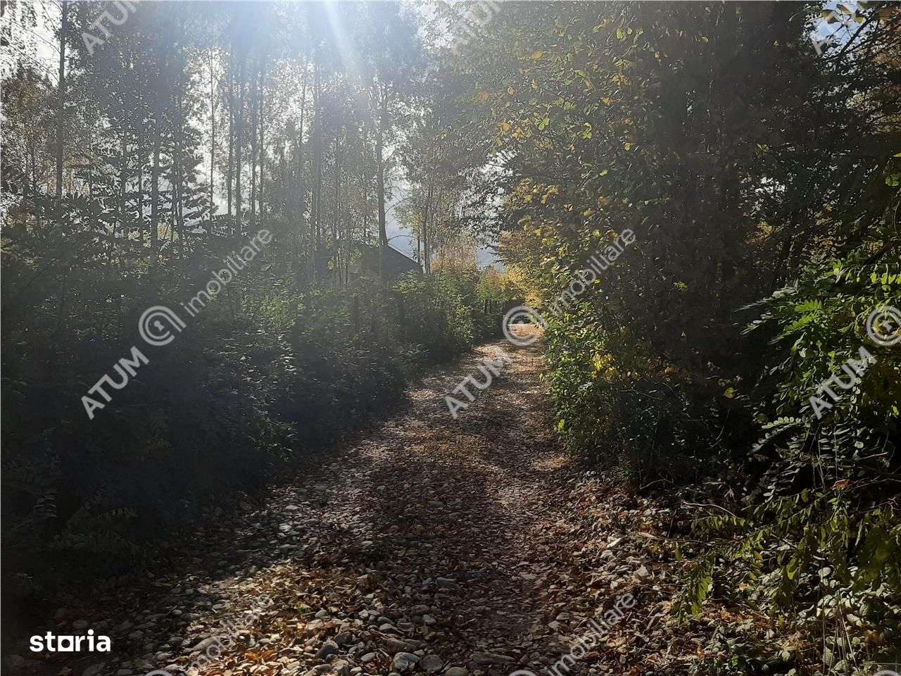 Teren intravilan de vanzare pe Valea Avrigului in suprafata de 1800 mp - Imagine principală: 2/6