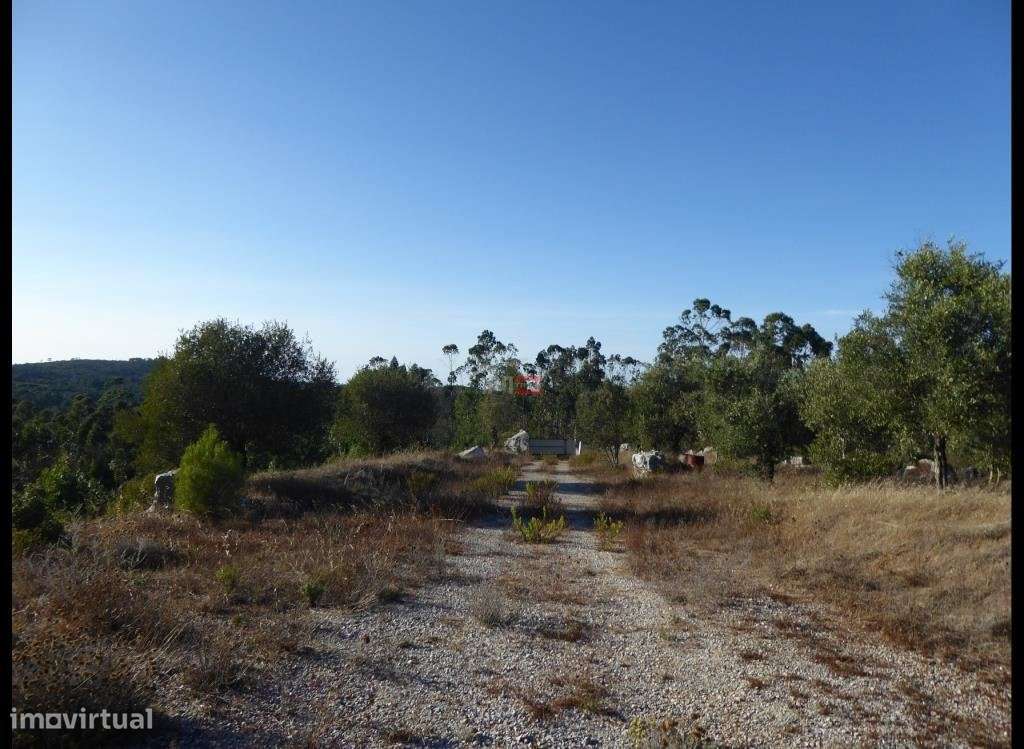 Terreno Giesteira 1,7 Ha - Grande imagem: 3/9