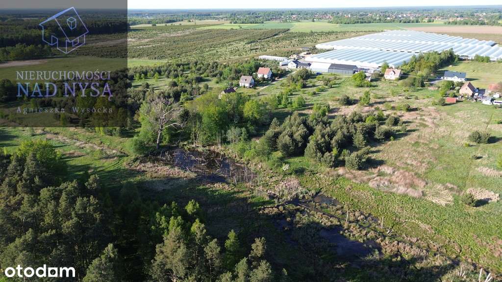 8 działek budowlanych! Czerwona Woda! - Pełny obrazek: 4/6