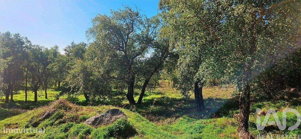 Terreno em Monchique - Grande imagem: 4/24