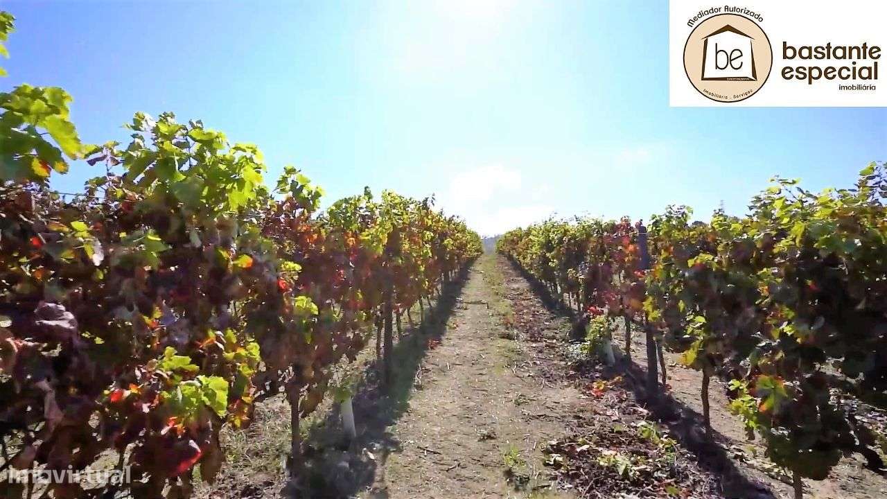 Quinta no Alto Douro Vinhateiro - Lamego com 7 ha (hectares)-16