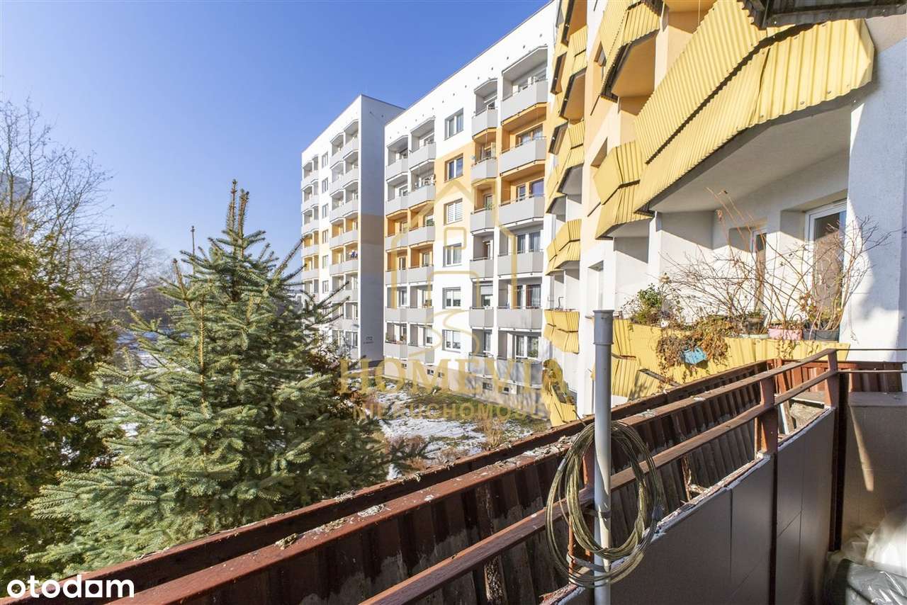 Radockiego Os Odrodzenia 2 lub 3 Pokoje 1 Piętro-10