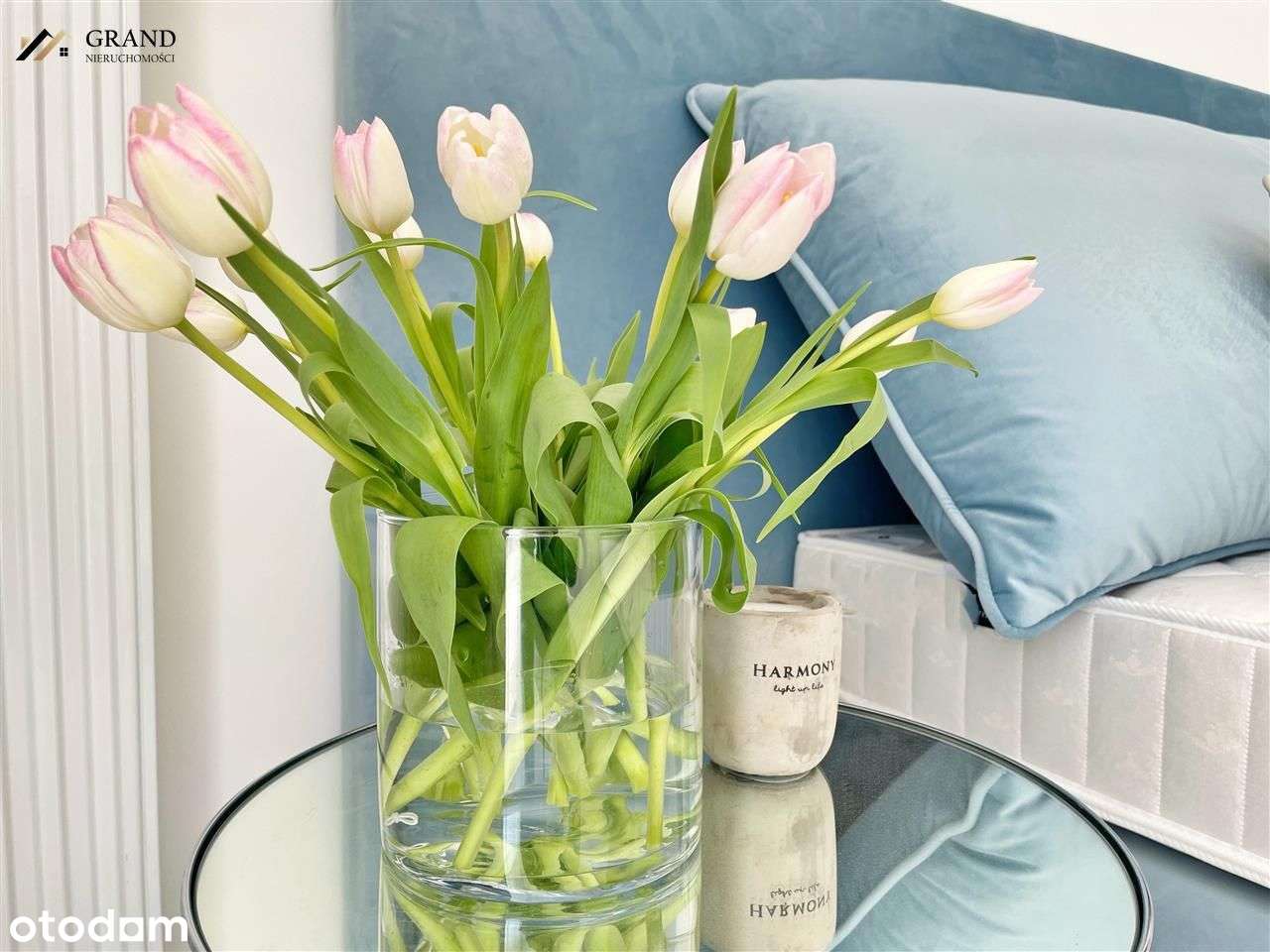 Apartament nad morzem Westin House Kołobrzeg - Pełny obrazek: 4/20