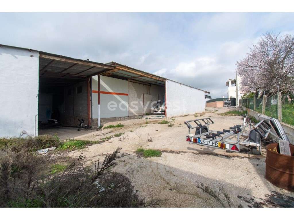 Armazém com 854 m2 em terreno de 1586 m2 em Fundo - Amaro Gonçalves - Grande imagem: 5/13