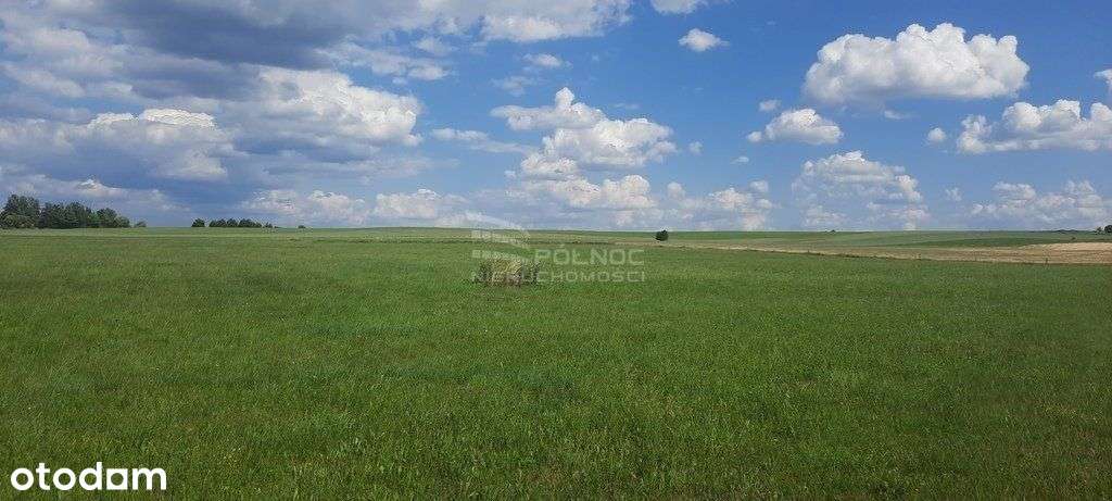 Działka rolna. Dobrzyniewo Kościelne. - Pełny obrazek: 5/8